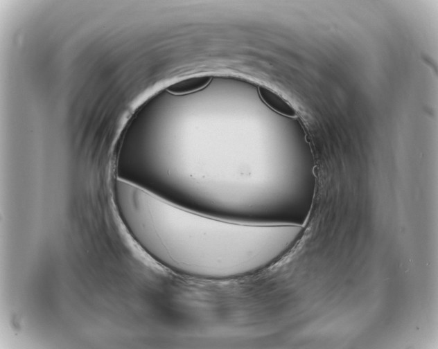 X0000091531526200708170939
