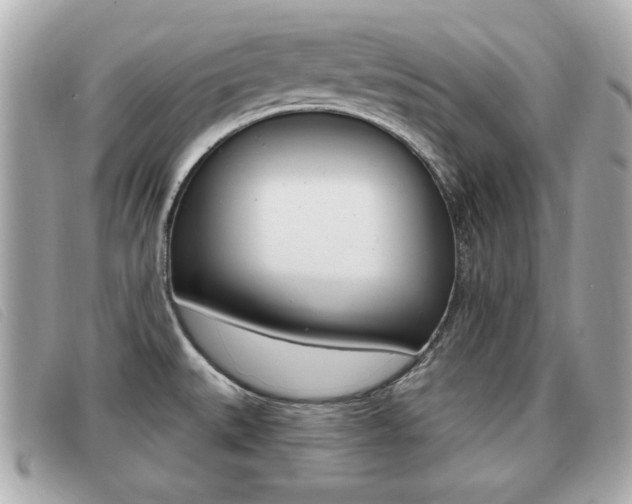 X0000091531527200708170939