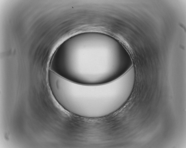 X0000091531528200708170939
