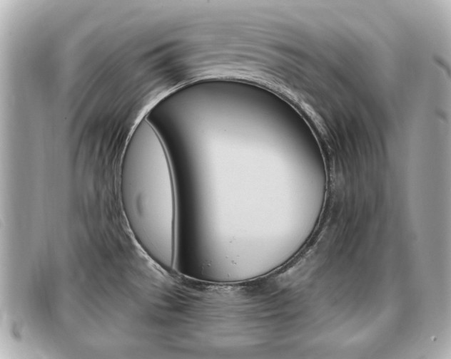 X0000091531529200708170939