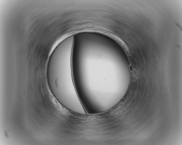 X0000091531530200708170939