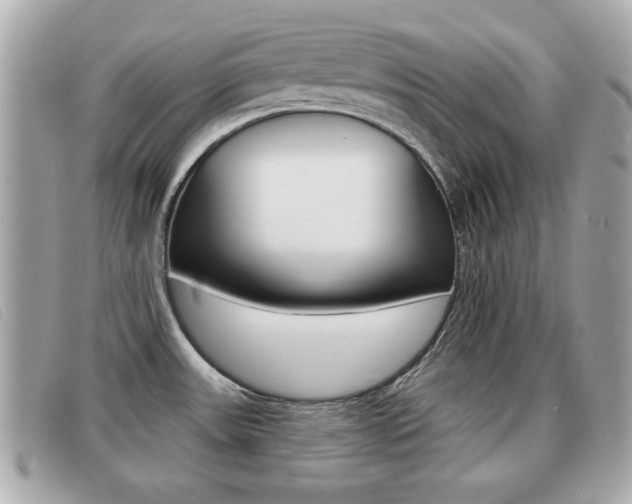 X0000091531531200708170939