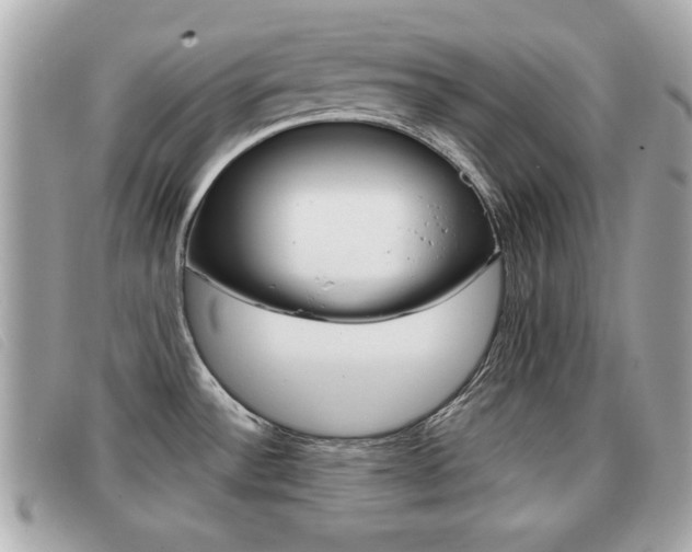 X0000091531532200708170939