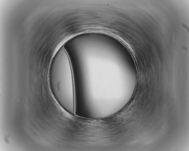 X0000091531533200708170939