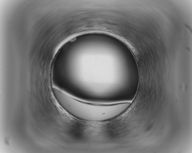 X0000091531534200708170939