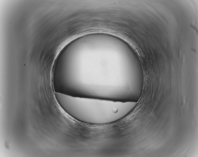 X0000091531535200708170939