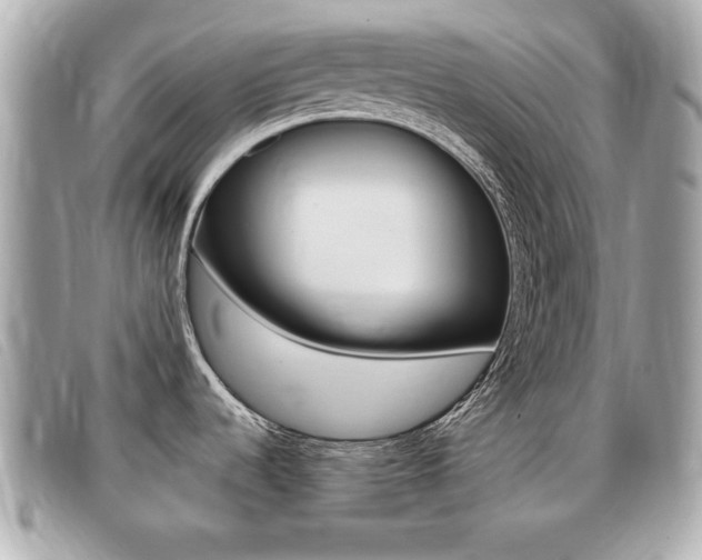 X0000091531536200708170939