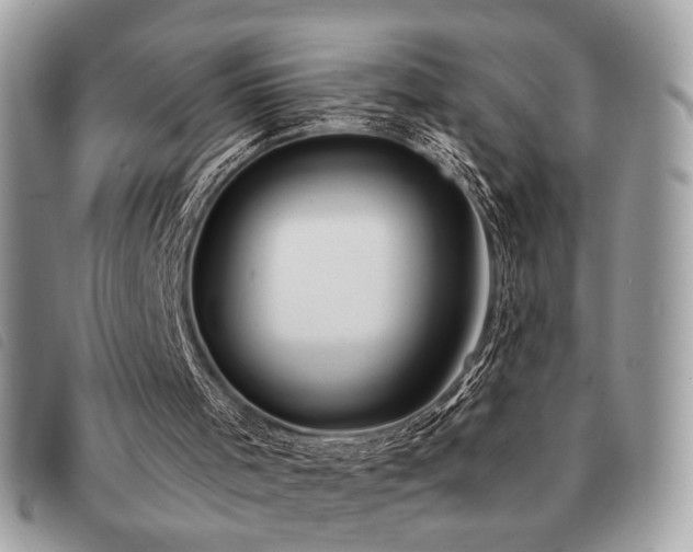 X0000091530001200708171231