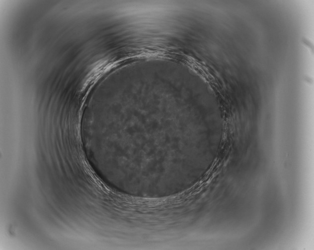 X0000091530002200708171231