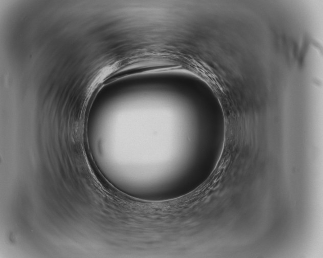 X0000091530003200708171231