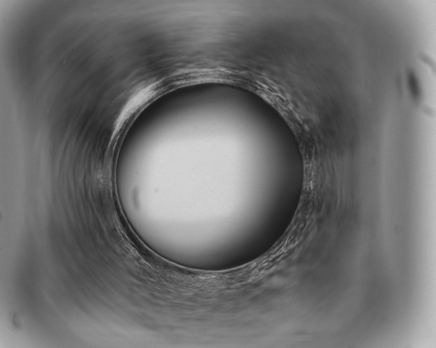 X0000091530004200708171231