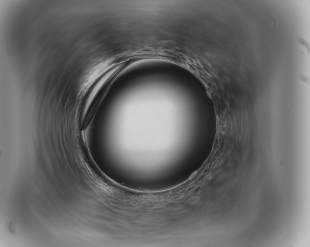 X0000091530005200708171231