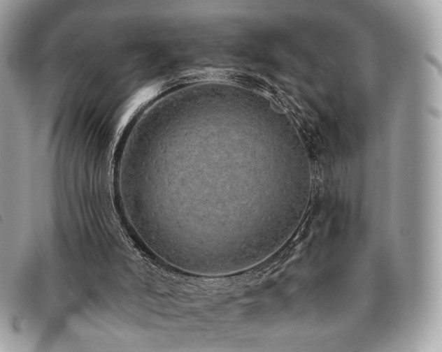 X0000091530006200708171231