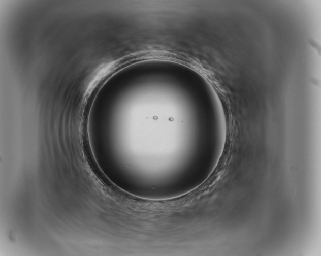 X0000091530007200708171231