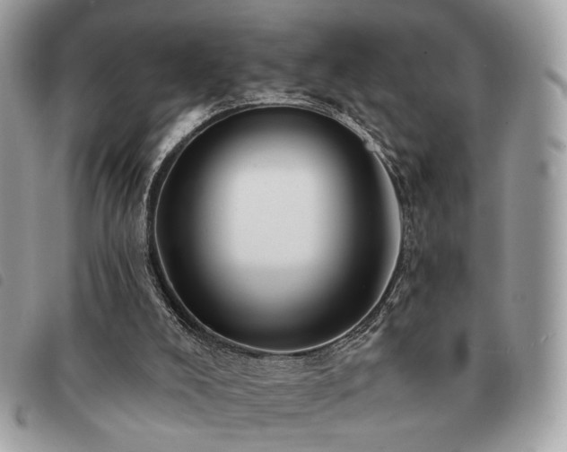 X0000091530008200708171231