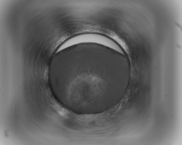 X0000091530009200708171231