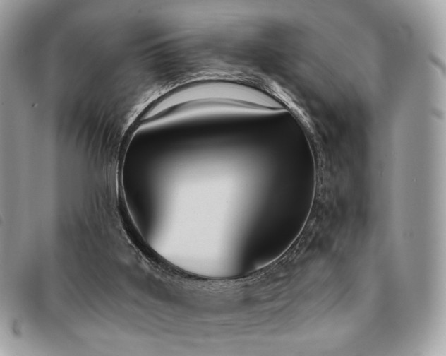 X0000091530011200708171231