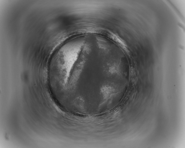 X0000091530012200708171231