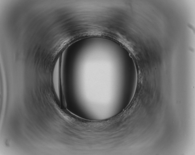X0000091530013200708171231