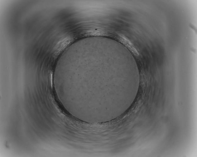 X0000091530014200708171231