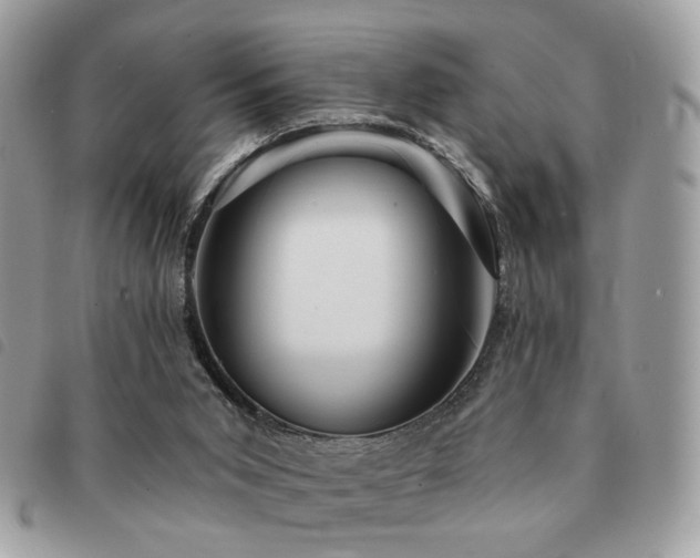 X0000091530015200708171231