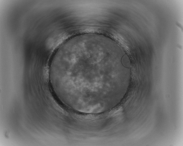 X0000091530016200708171231