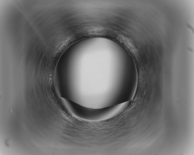 X0000091530017200708171231