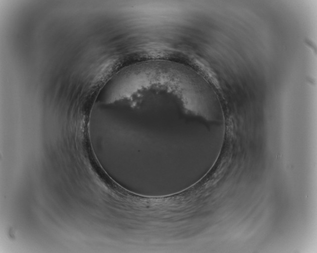 X0000091530018200708171231