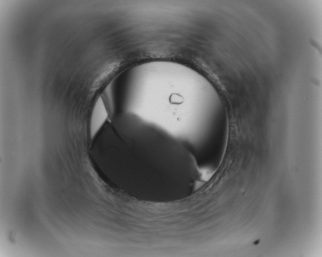 X0000091530019200708171231