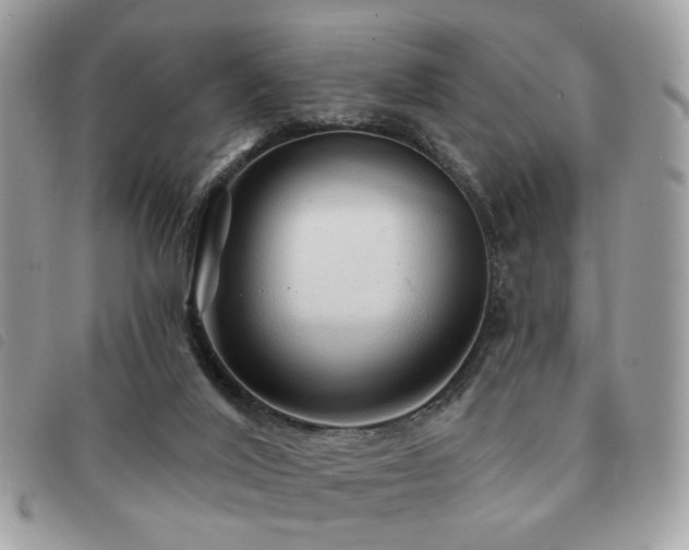 X0000091530020200708171231