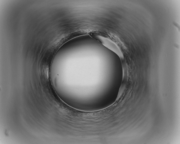 X0000091530021200708171231