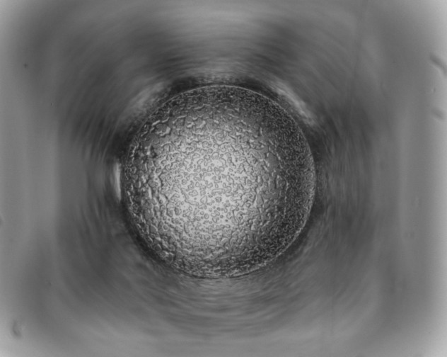 X0000091530022200708171231