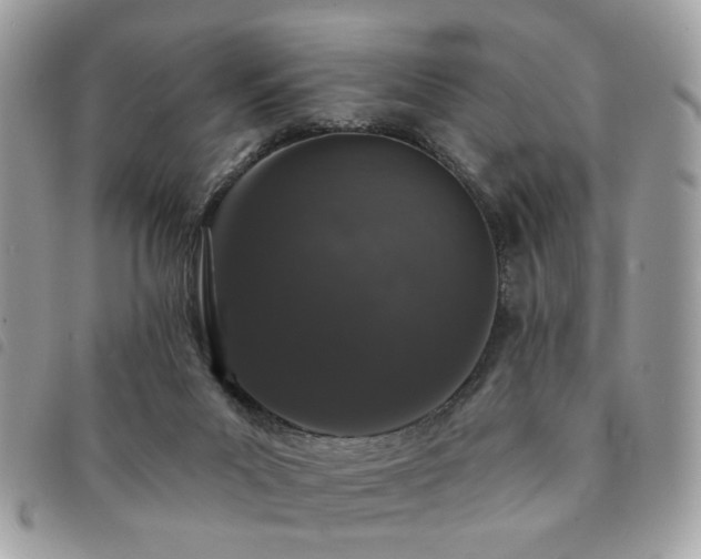 X0000091530023200708171231