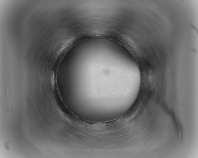 X0000091530024200708171231