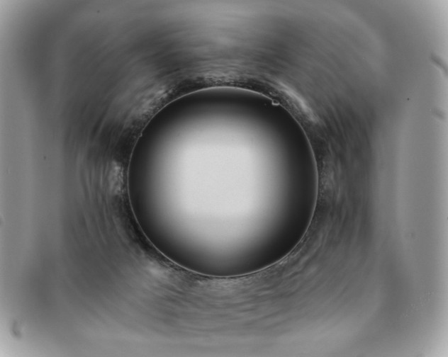 X0000091530025200708171231