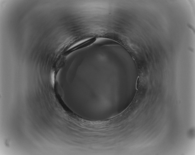 X0000091530027200708171231