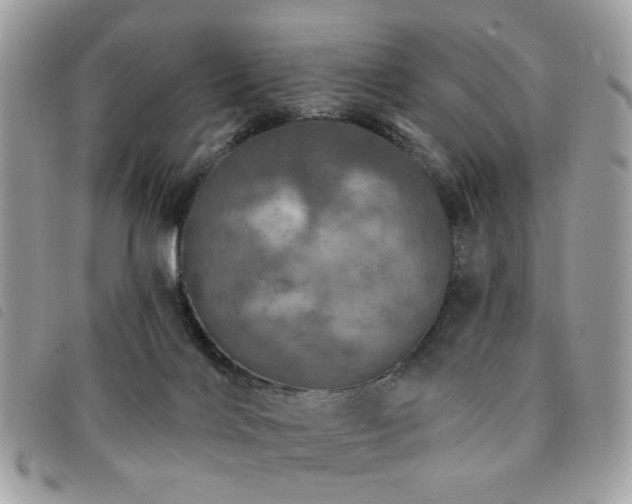 X0000091530028200708171231