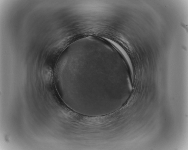 X0000091530029200708171231