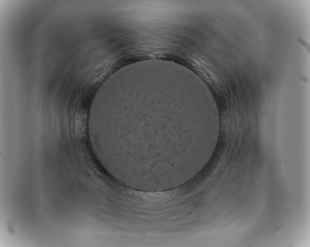 X0000091530030200708171231