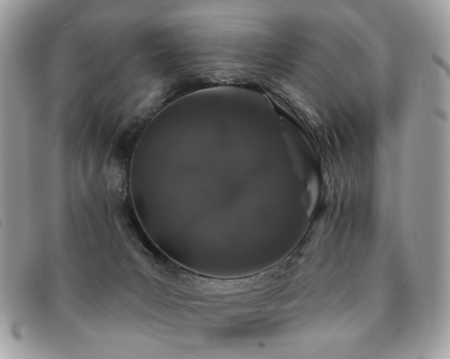 X0000091530031200708171231