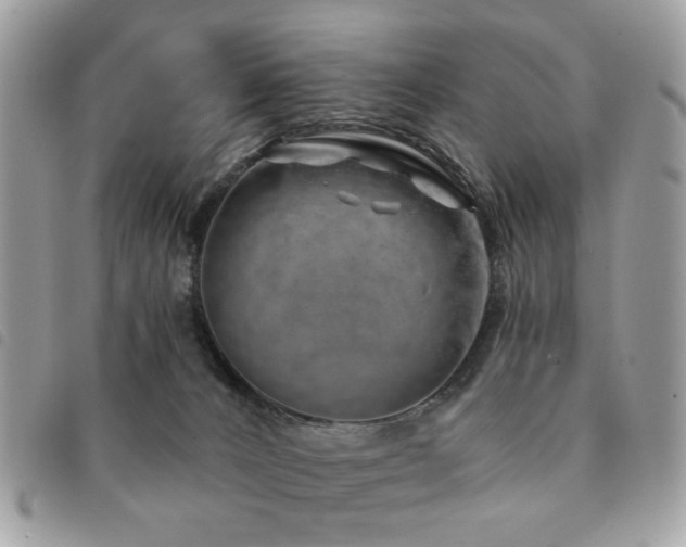 X0000091530032200708171231