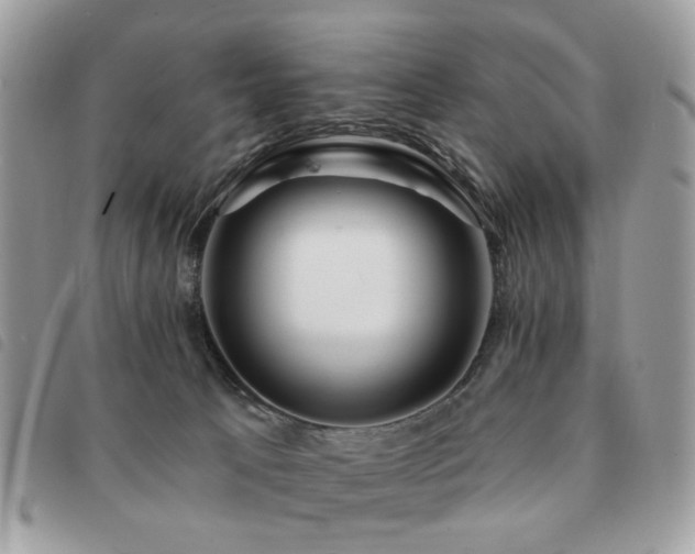 X0000091530033200708171231