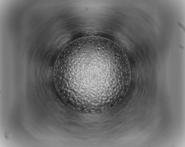 X0000091530034200708171231