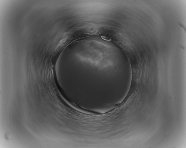 X0000091530035200708171231