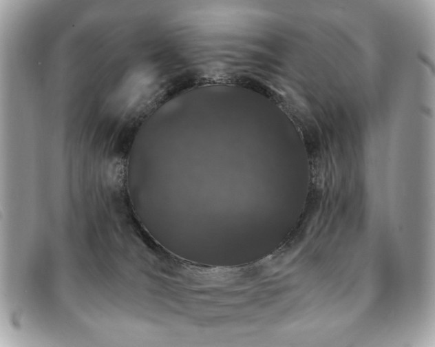 X0000091530036200708171231