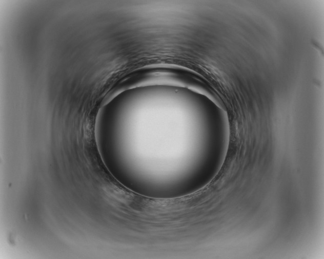 X0000091530037200708171231