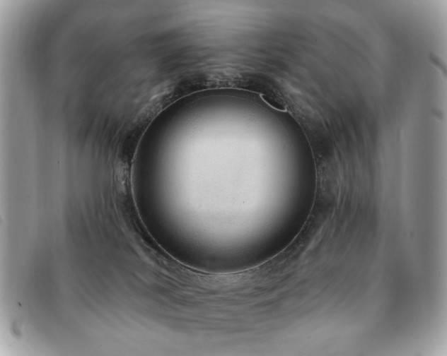 X0000091530038200708171231