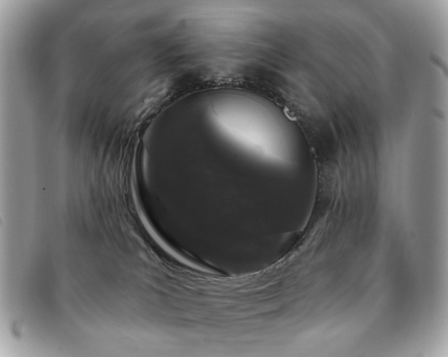 X0000091530039200708171231