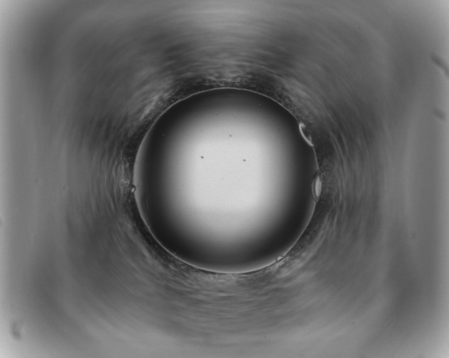 X0000091530040200708171231
