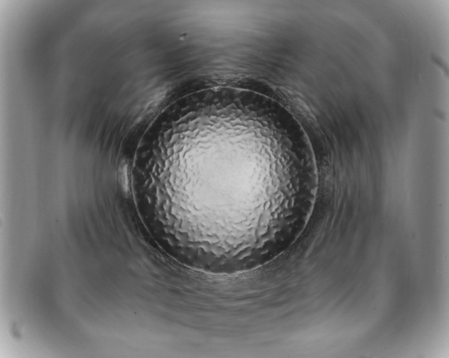 X0000091530042200708171230